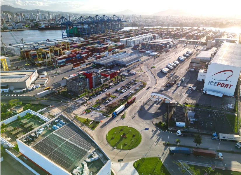 Inauguration of Port Avenue