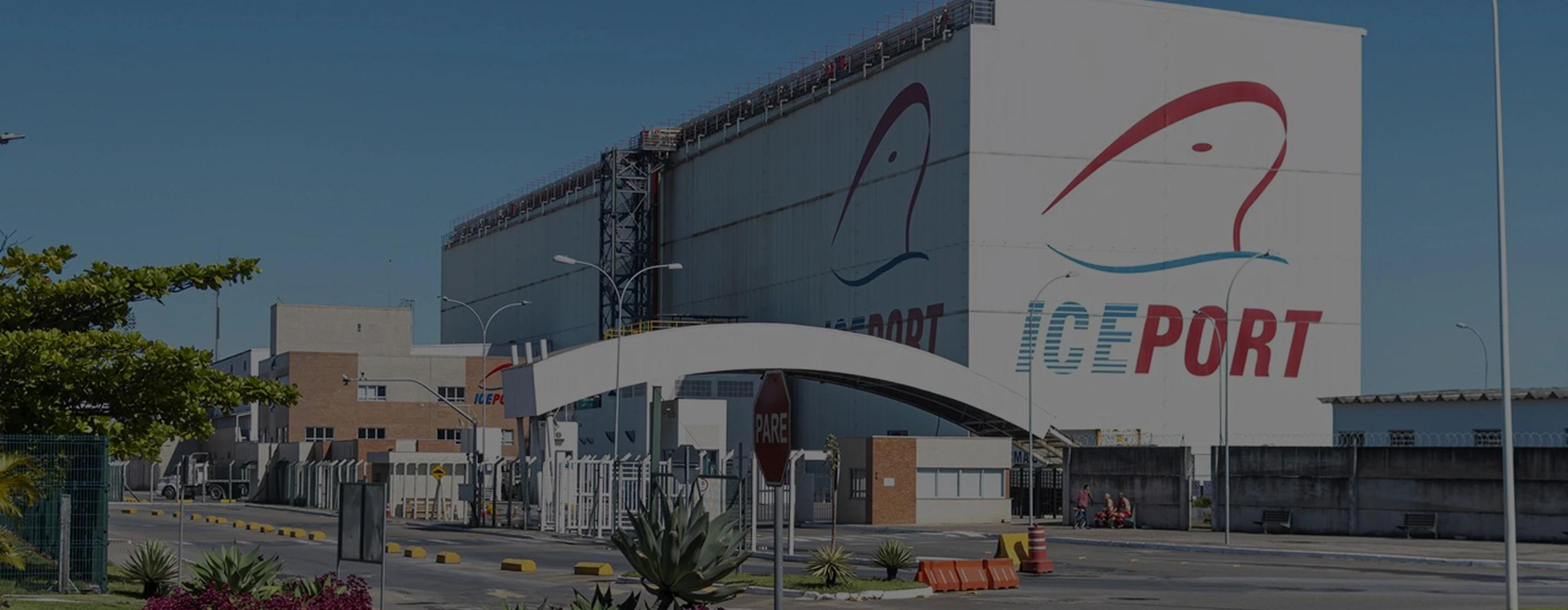 Banner da página Iceport: temperature-controlled cargo stored in a fully automated and secure way