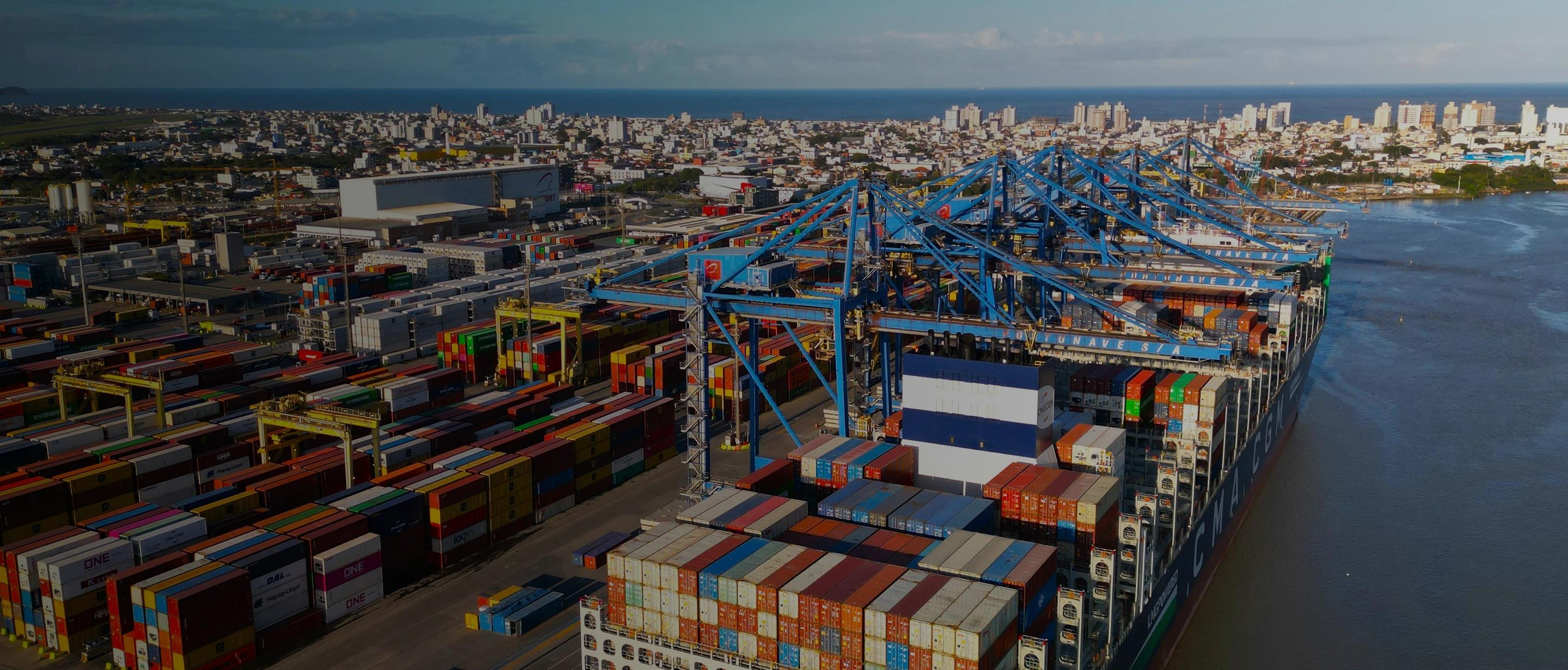 Banner da página A trajectory of excellence, innovation and prominence in container handling